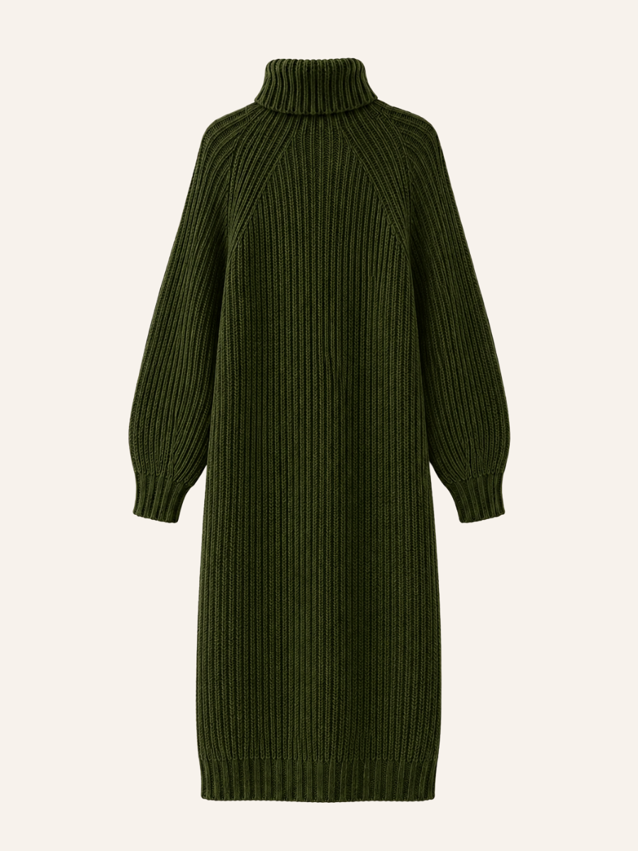 Ribbed Turtleneck Sweater Jurk