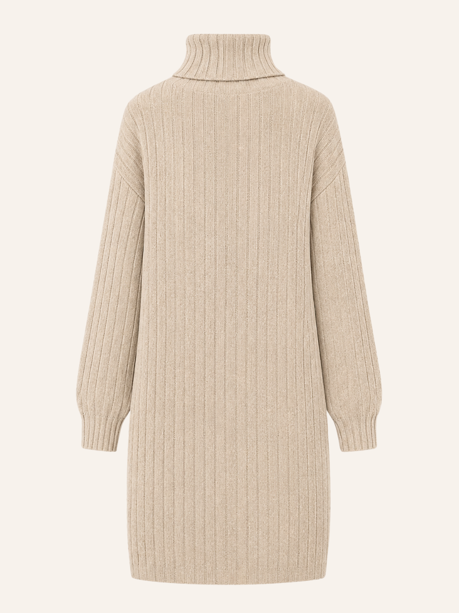 Ribbed Turtleneck Sweater Jurk