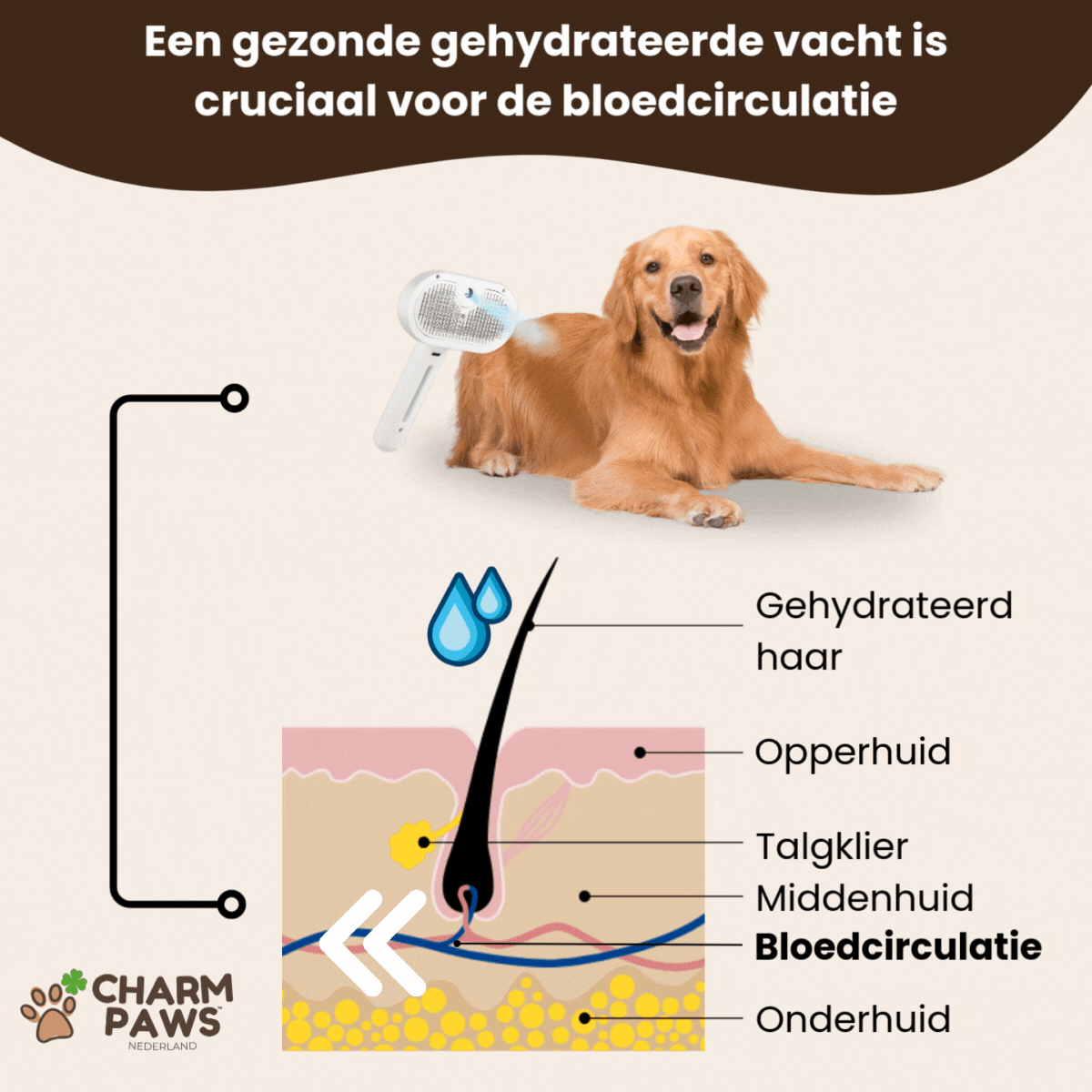 Steami Pro - Professionele Vachtverzorgings Borstel voor Huisdieren