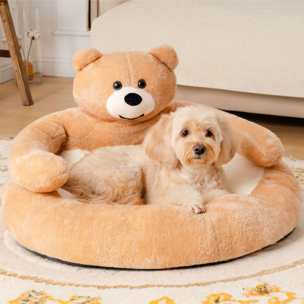 Schattige Kattenmand met Afneembare Knuffelbeer