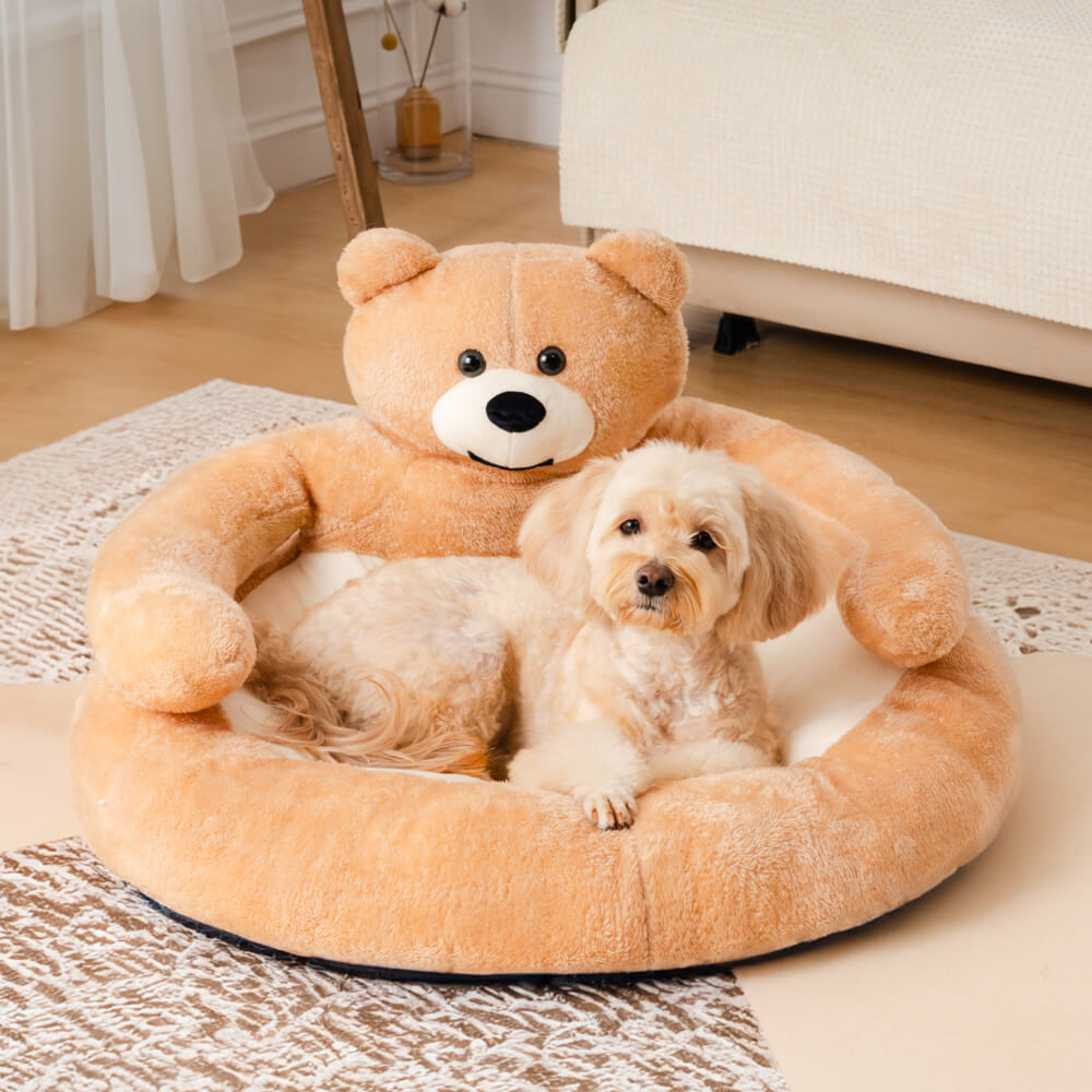 Schattige Kattenmand met Afneembare Knuffelbeer