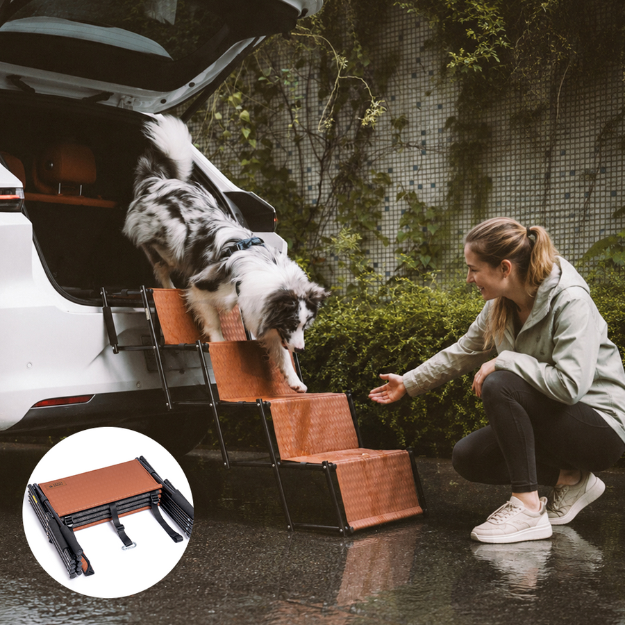 Opvouwbare Hondentrap voor de Auto – LuxeNest