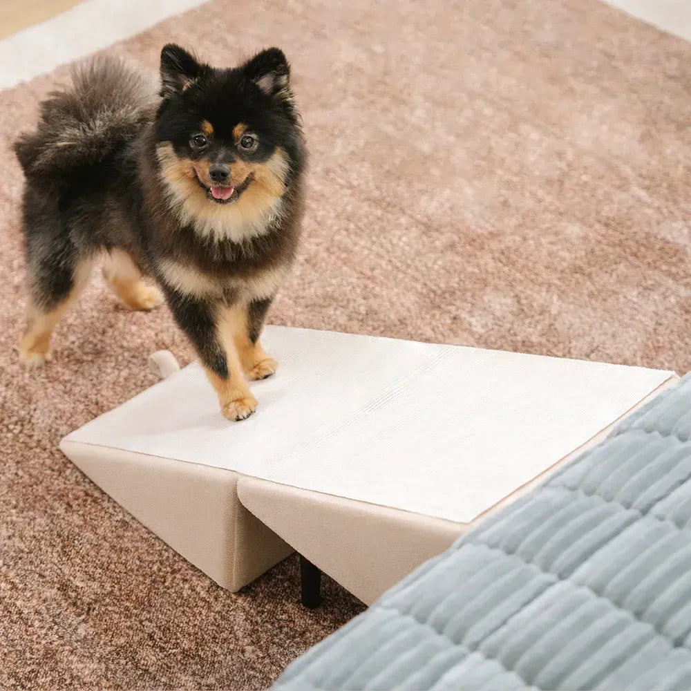 2-in-1 Houten Hondentrap & Loopplank voor Bed