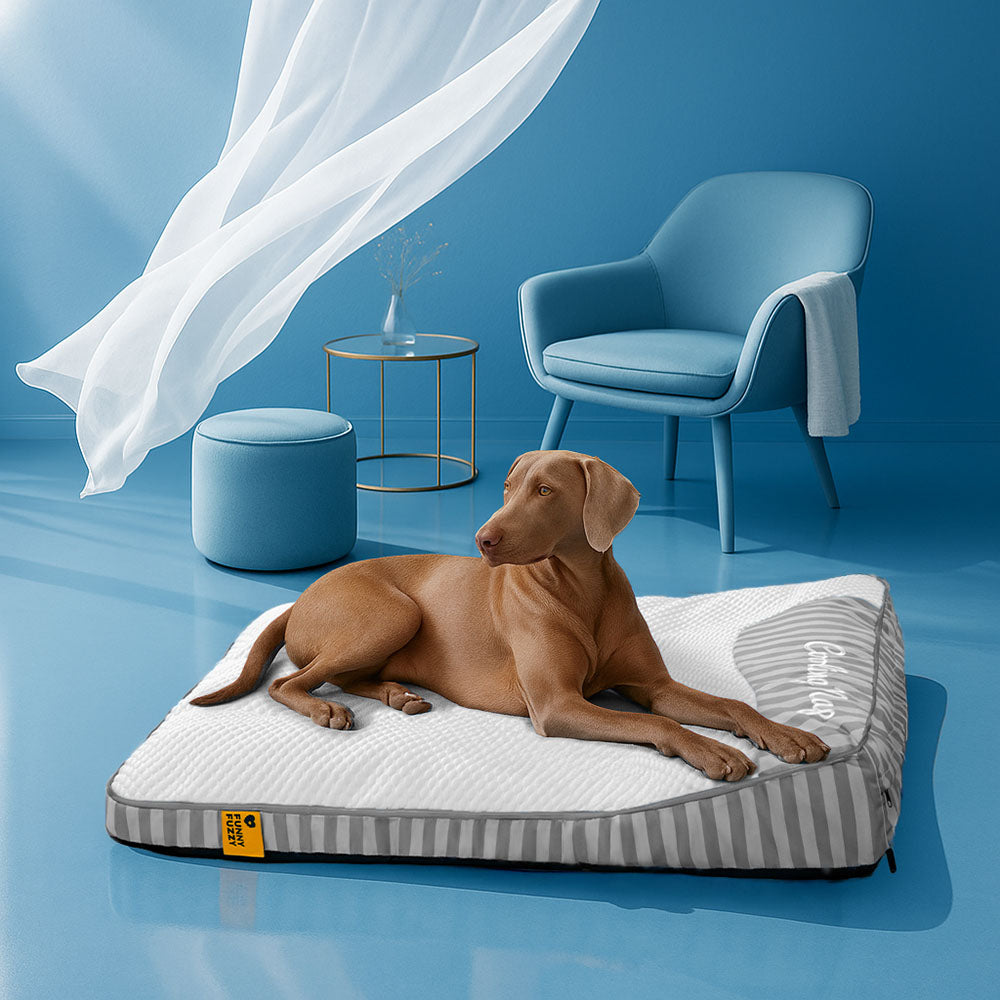 Extra Groot Verkoelend Orthopedisch Hondenbed