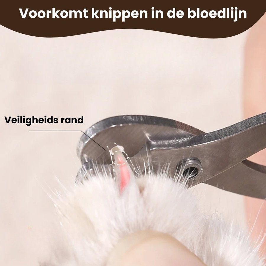 Veilige Nagelschaar
