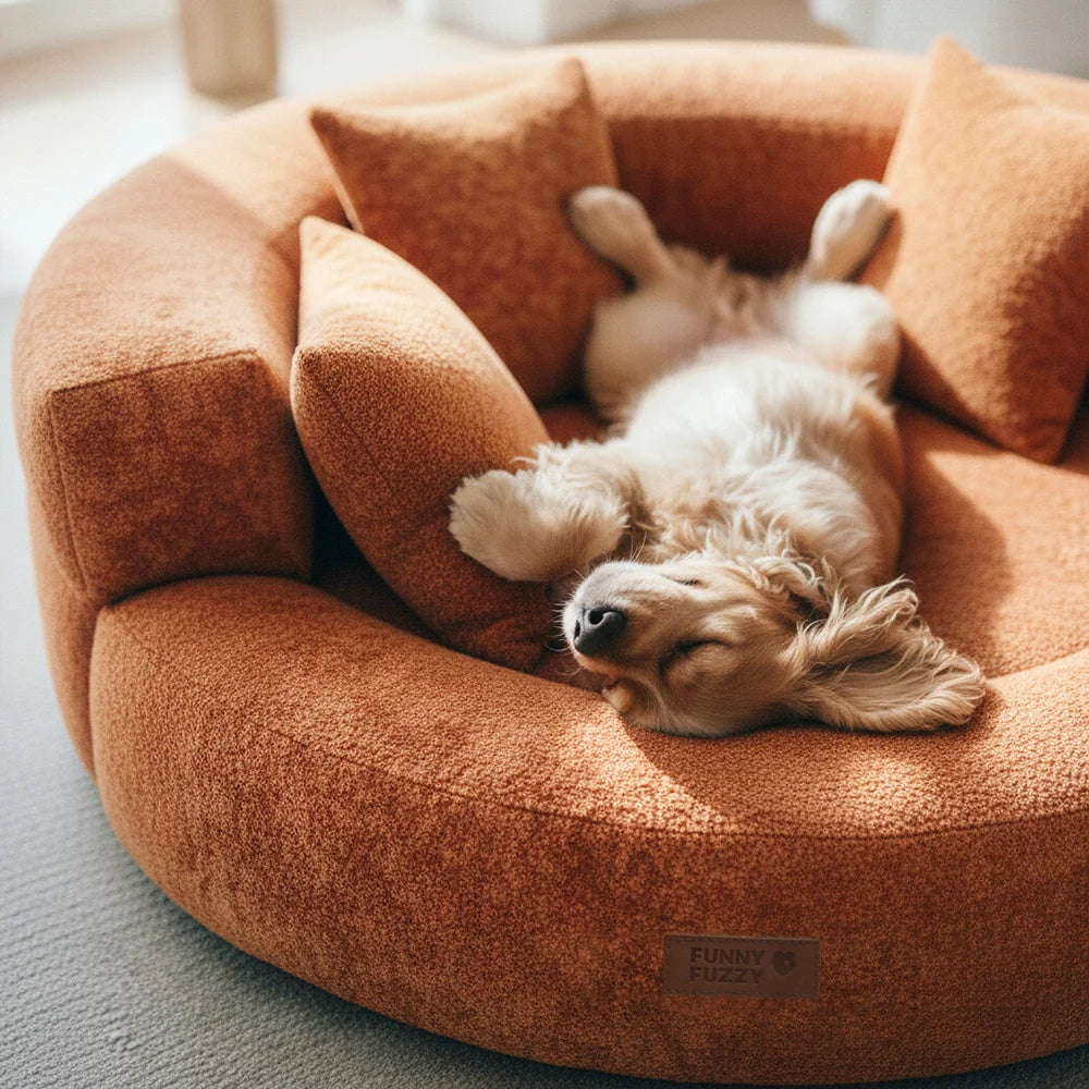 Luxe Orthopedische Donut Hondenmand – DreamNest
