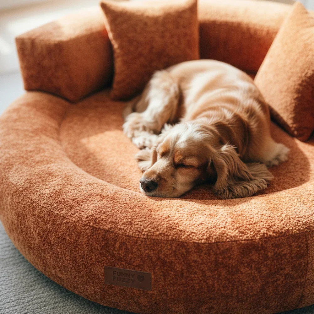 Luxe Orthopedische Donut Hondenmand – DreamNest