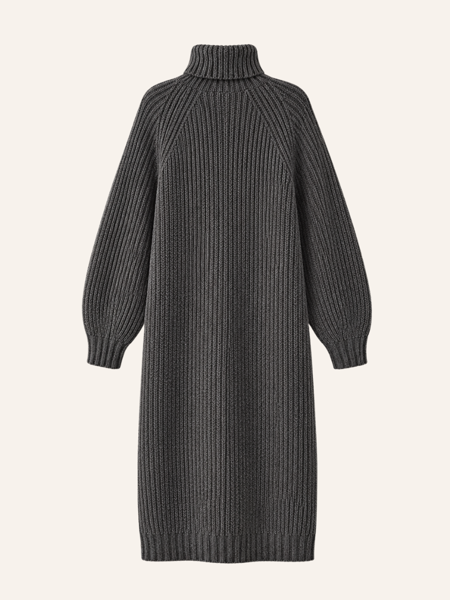 Ribbed Turtleneck Sweater Jurk