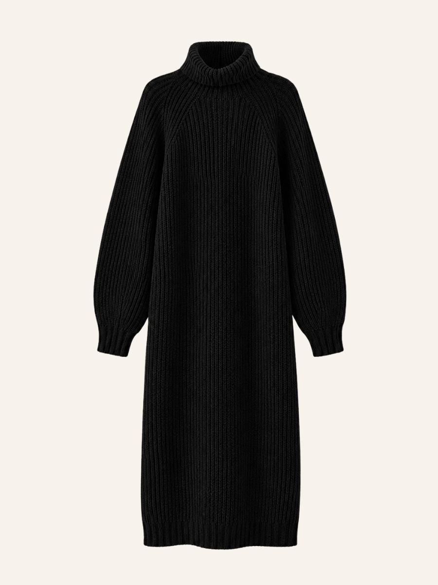 Ribbed Turtleneck Sweater Jurk