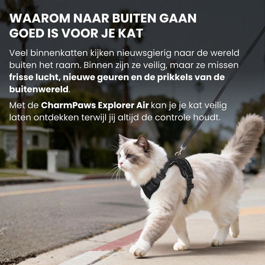 Explorer Air - Ademend en Verstelbaar Kattenharnas met Looplijn