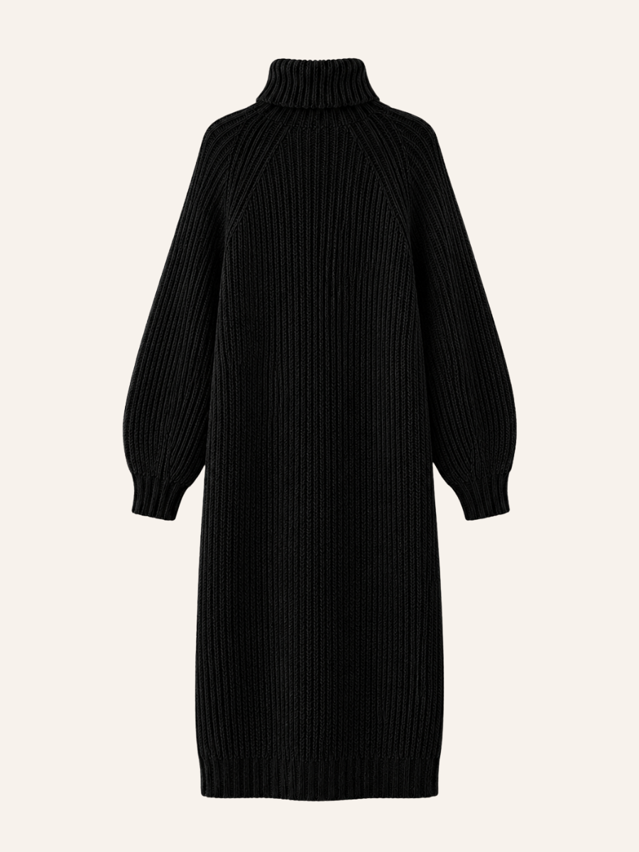Ribbed Turtleneck Sweater Jurk
