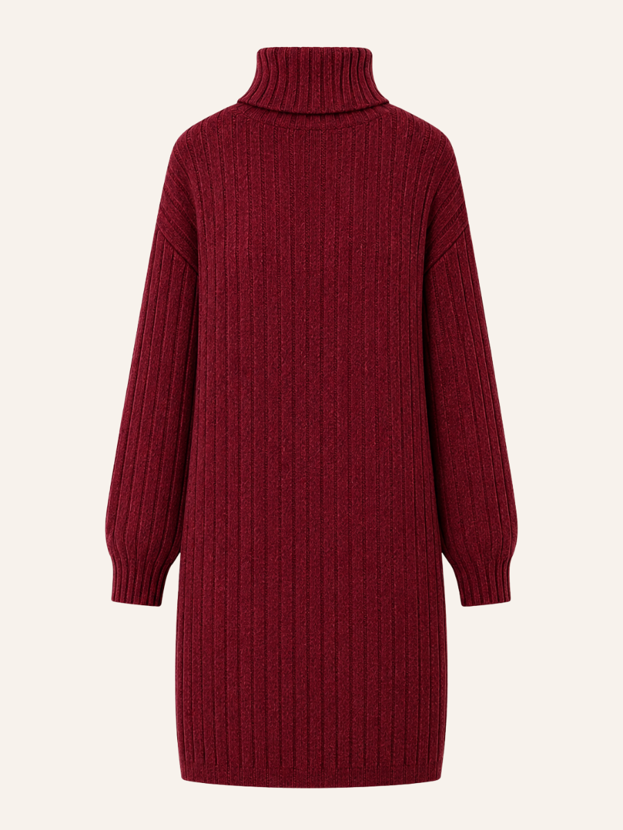 Ribbed Turtleneck Sweater Jurk