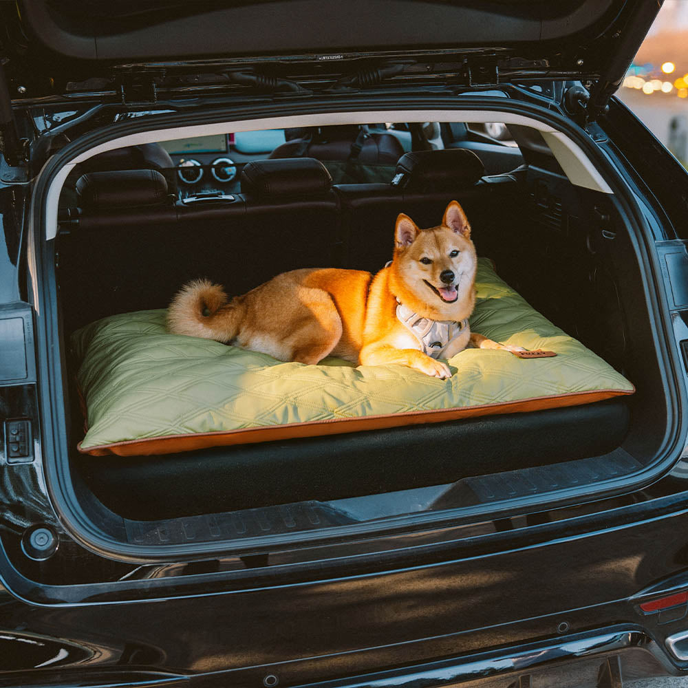 Luxe Dubbelzijdige Hondenmat