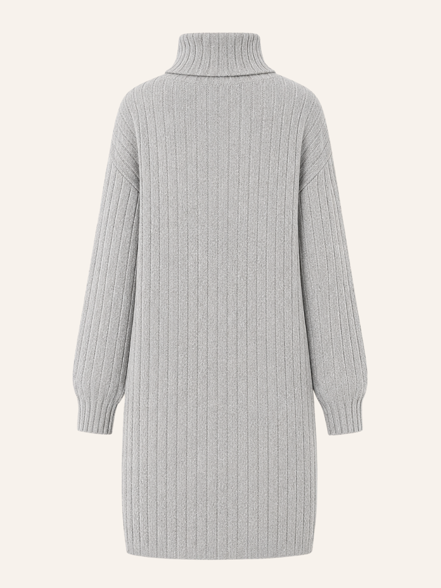 Ribbed Turtleneck Sweater Jurk