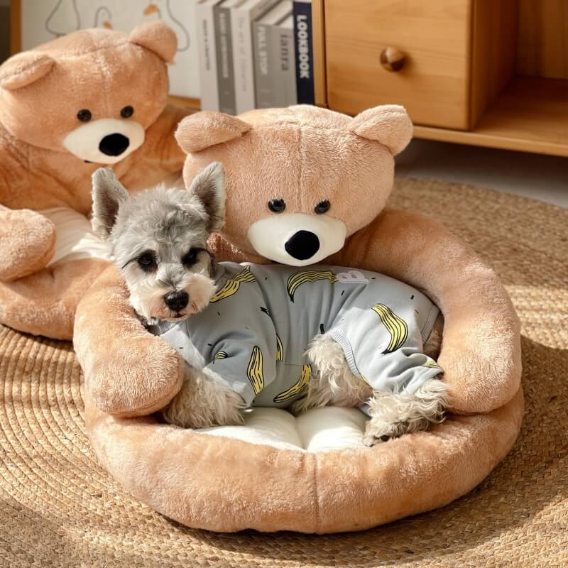 Schattige Kattenmand met Afneembare Knuffelbeer
