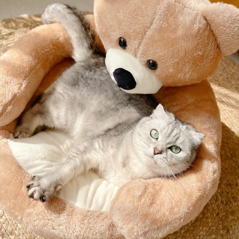 Schattige Kattenmand met Afneembare Knuffelbeer