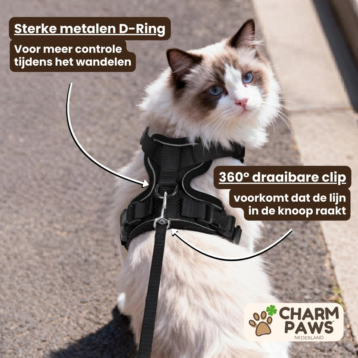 Explorer Air - Ademend en Verstelbaar Kattenharnas met Looplijn