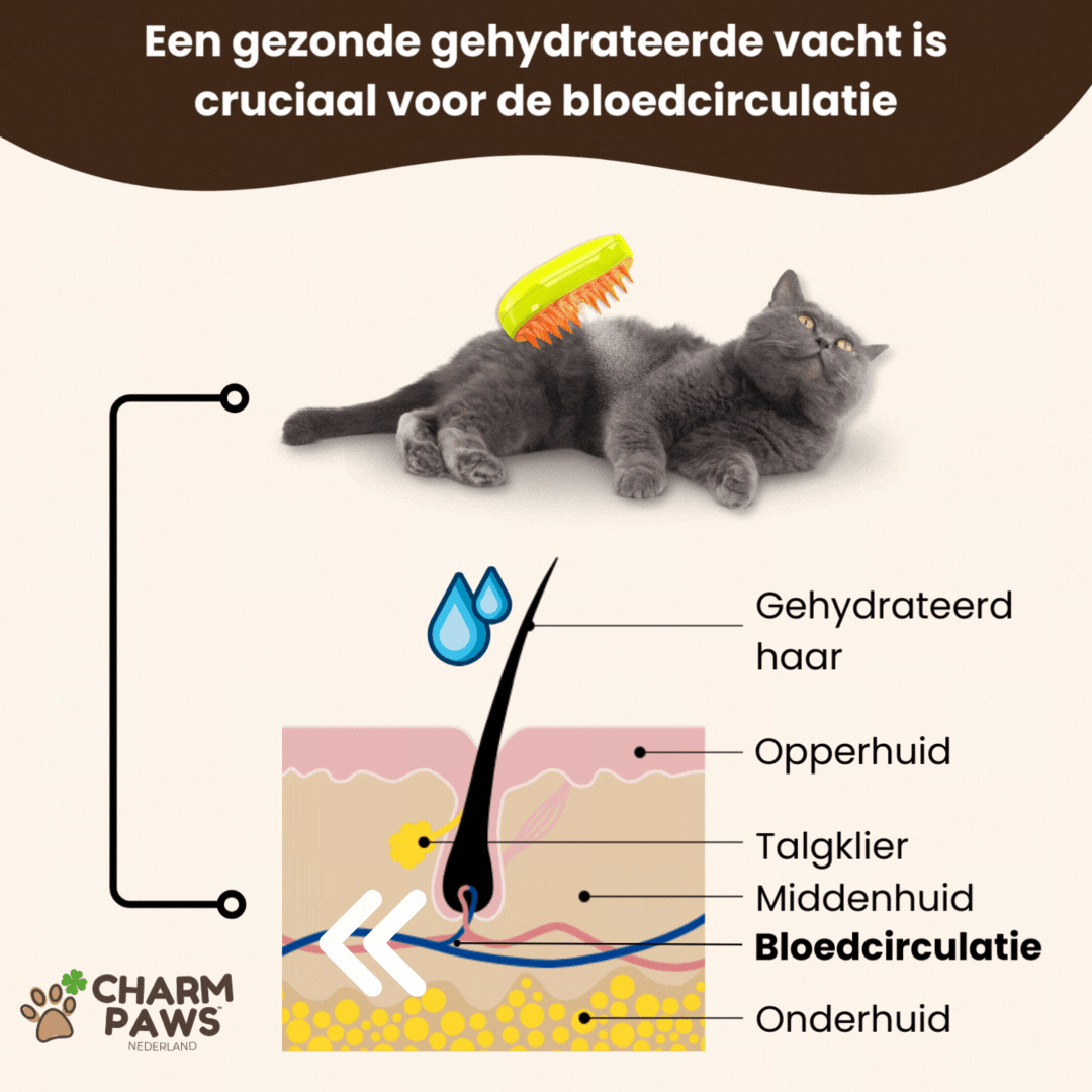 Steami Original - Vachtverzorgings Borstel voor Huisdieren