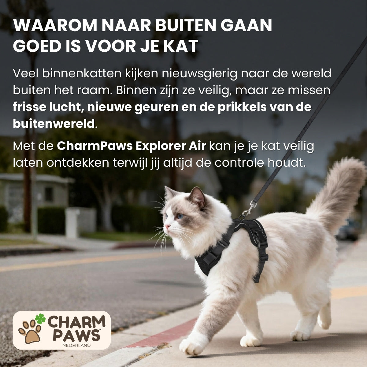 Explorer Air - Ademend en Verstelbaar Kattenharnas met Looplijn