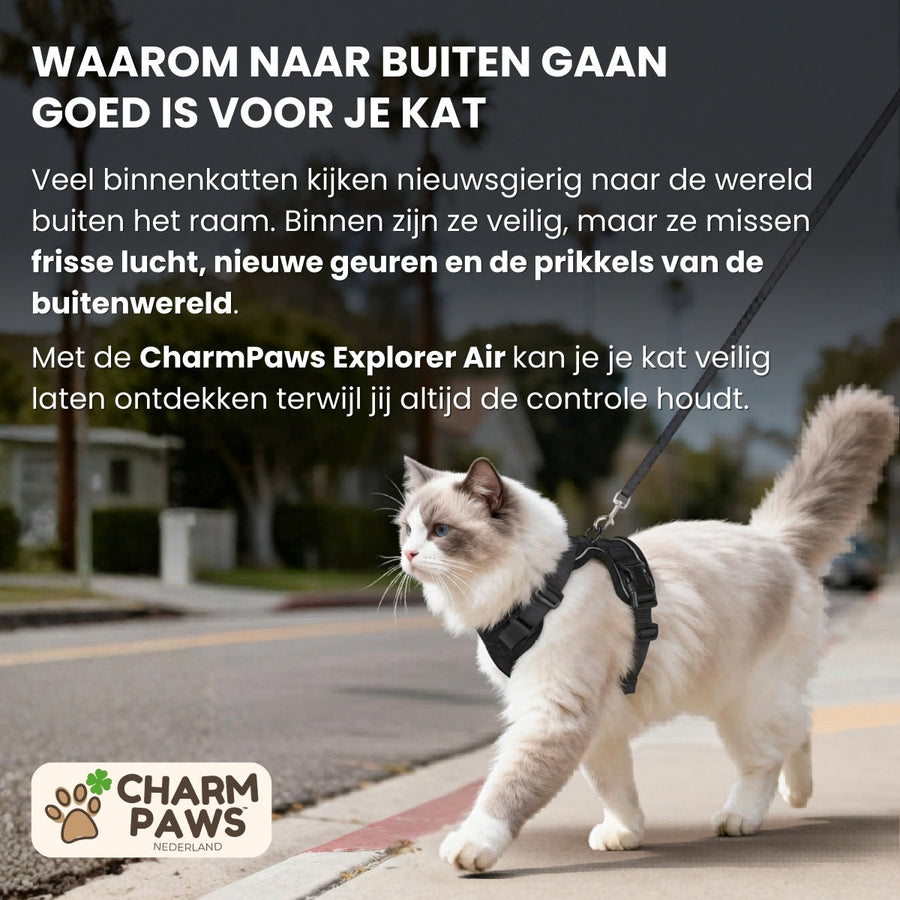 Explorer Air - Ademend en Verstelbaar Kattenharnas met Looplijn