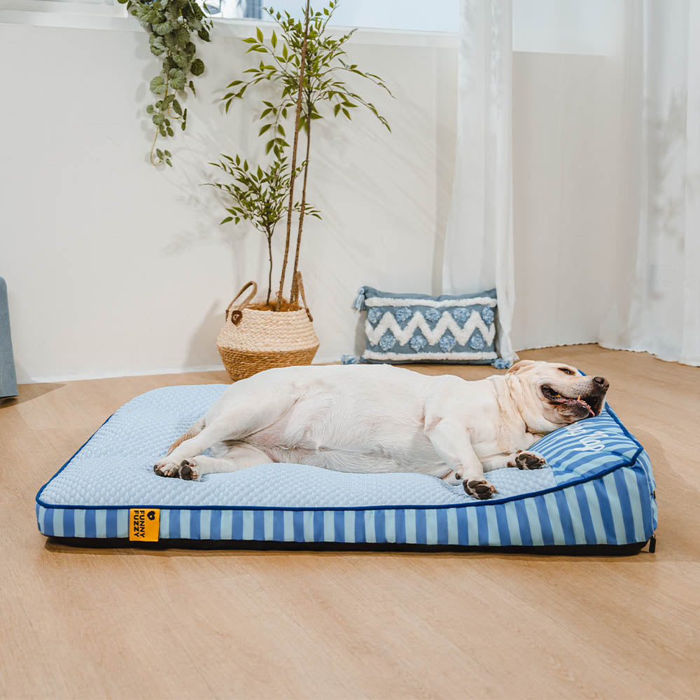Extra Groot Verkoelend Orthopedisch Hondenbed