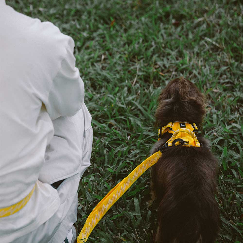 Reflecterend Verstelbaar Hondenharnas – Flexi Walker