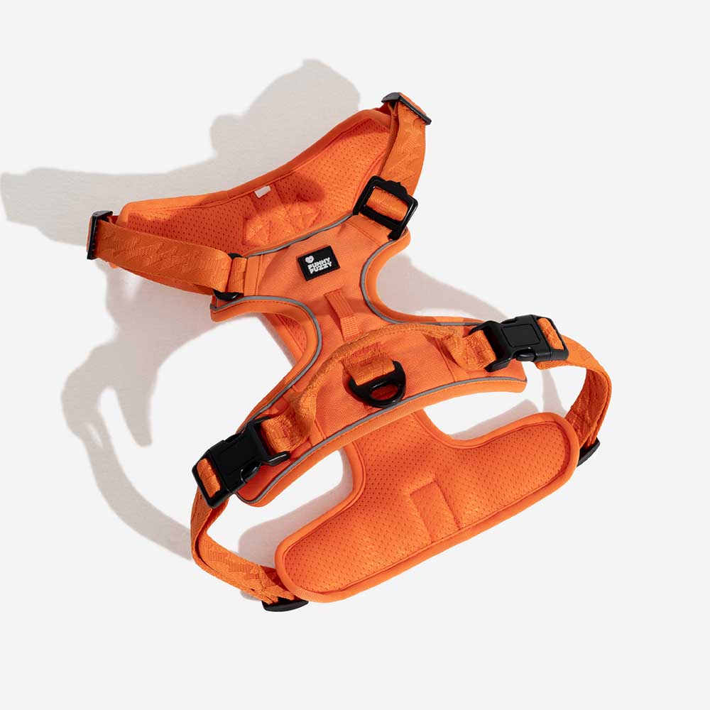 Reflecterend Verstelbaar Hondenharnas – Flexi Walker
