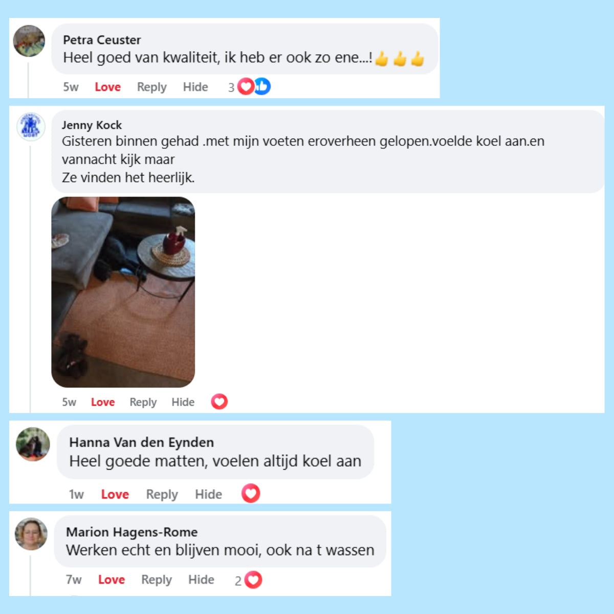 IcyNap - Zelfkoelende Ligmat voor Huisdieren