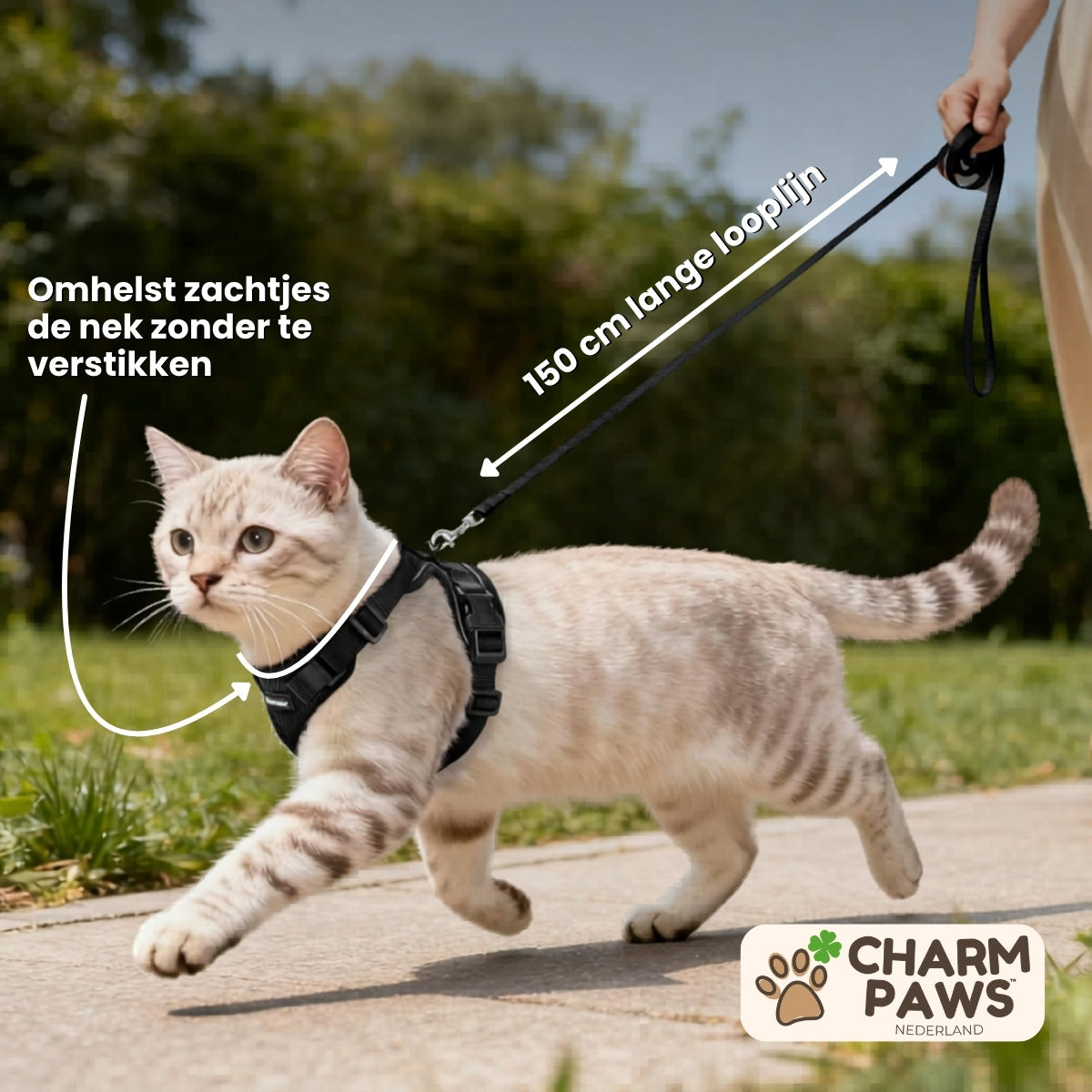 Explorer Air - Ademend en Verstelbaar Kattenharnas met Looplijn