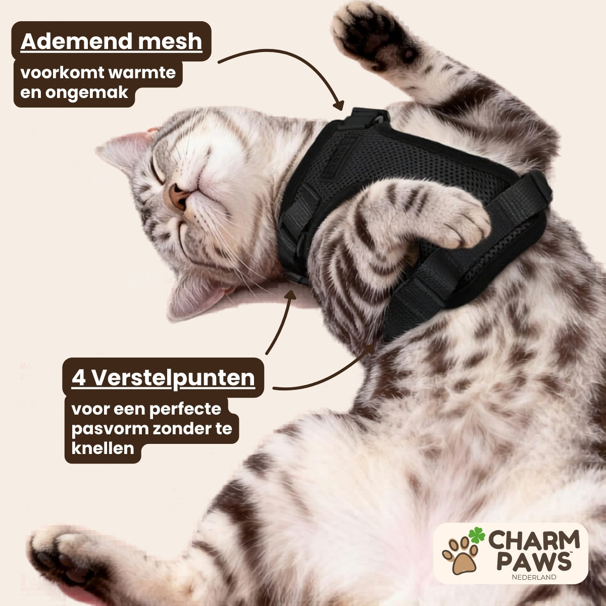 Explorer Air - Ademend en Verstelbaar Kattenharnas met Looplijn