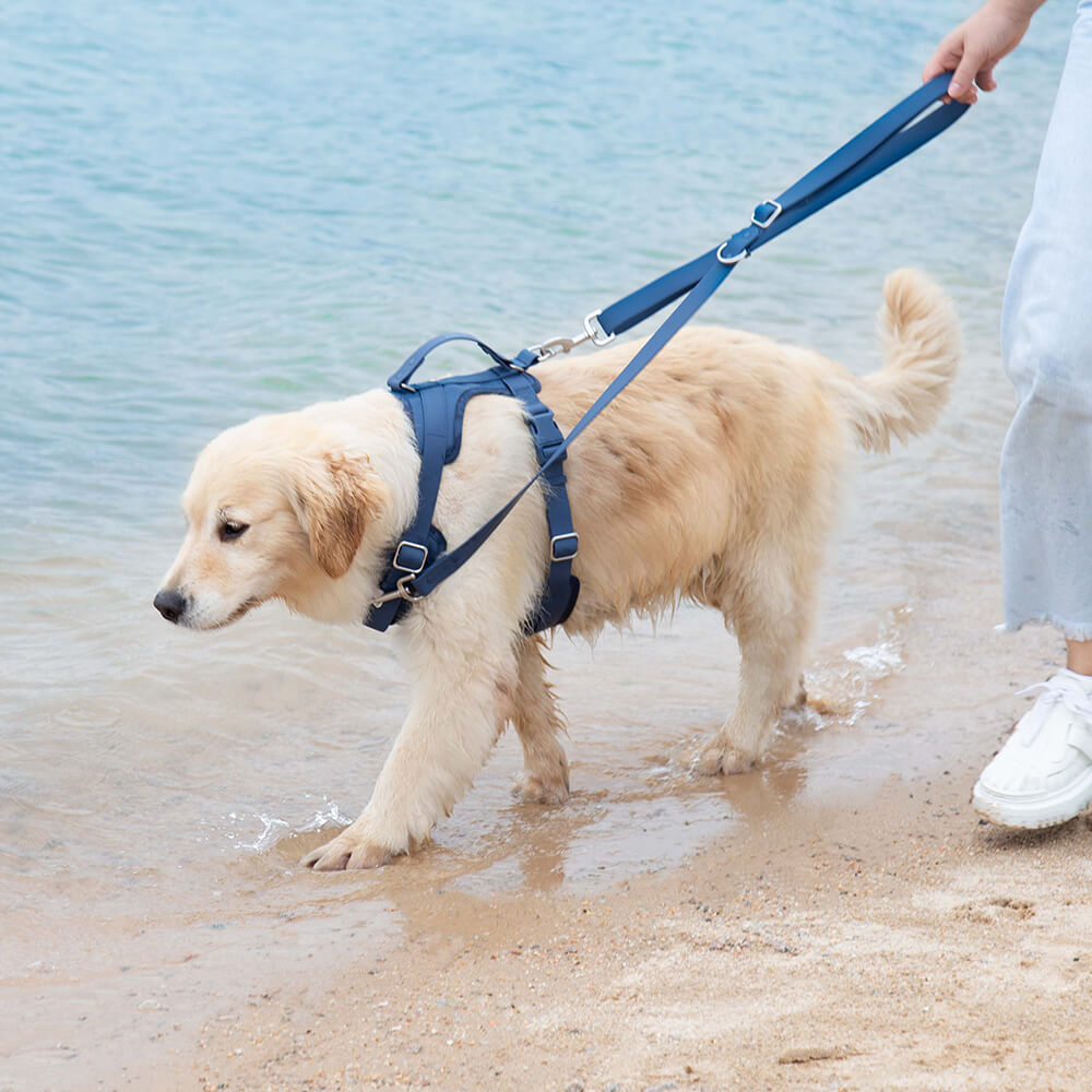 Gummy Honden Wandelset