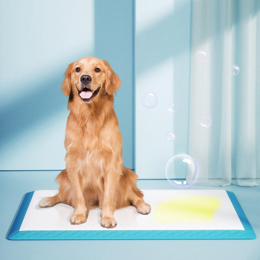 Absorberende Wegwerp Trainingsmatten voor Honden