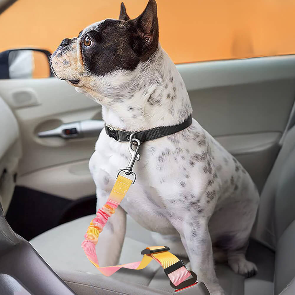 Schokabsorberende Autogordel voor Honden