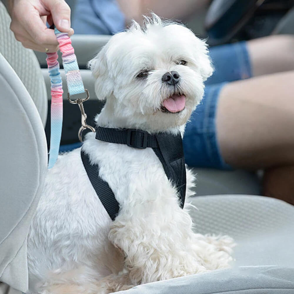 Schokabsorberende Autogordel voor Honden