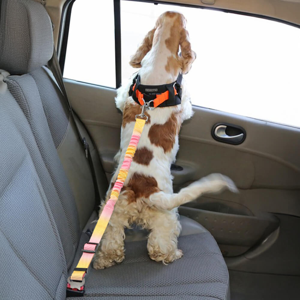 Schokabsorberende Autogordel voor Honden
