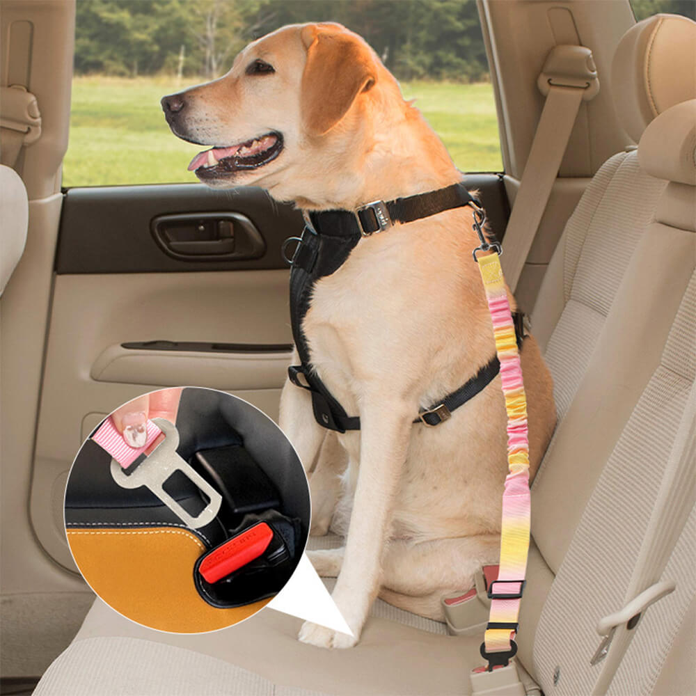 Schokabsorberende Autogordel voor Honden