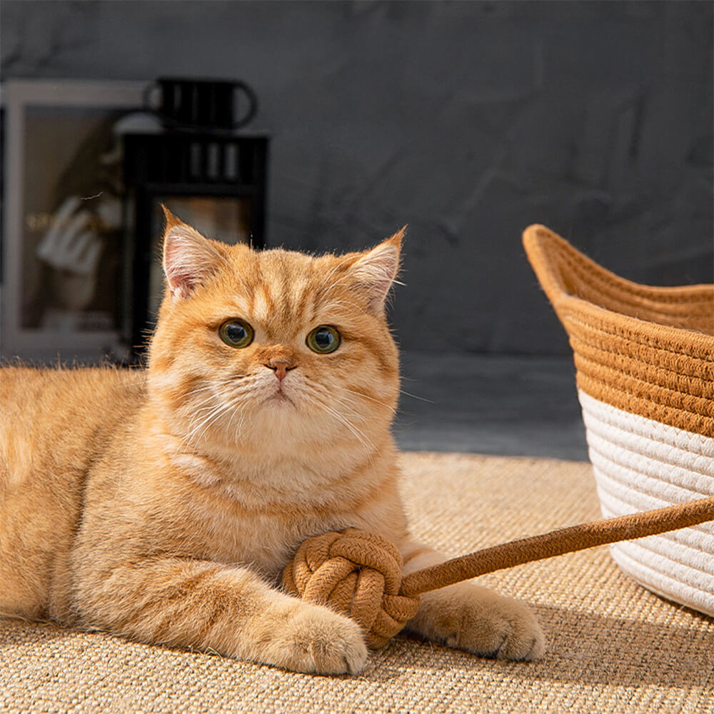 Handgemaakte Geweven Kattenmand