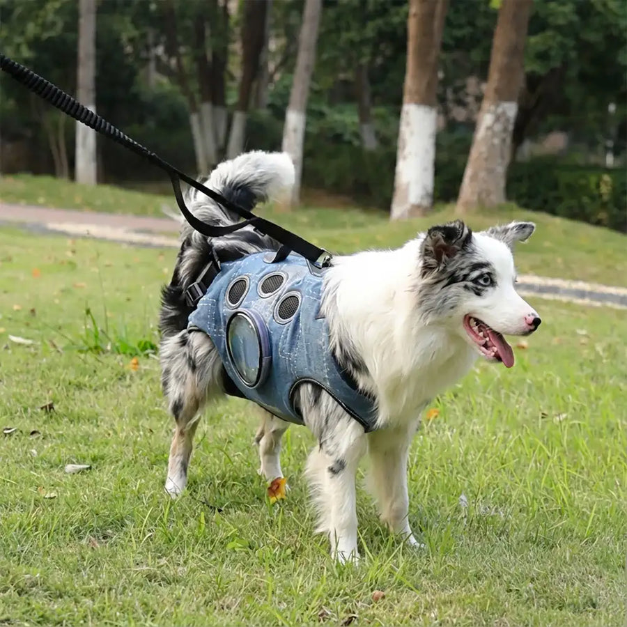 Handsfree Hondenrugzak voor Middelgrote Honden