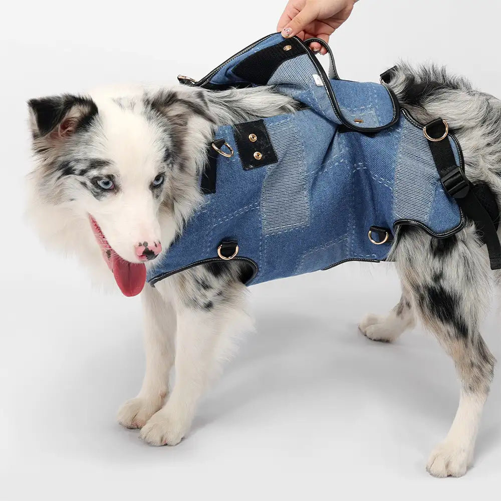 Handsfree Hondenrugzak voor Middelgrote Honden