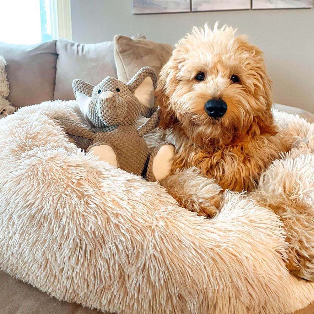 Ronde Fluffy Hondenmand