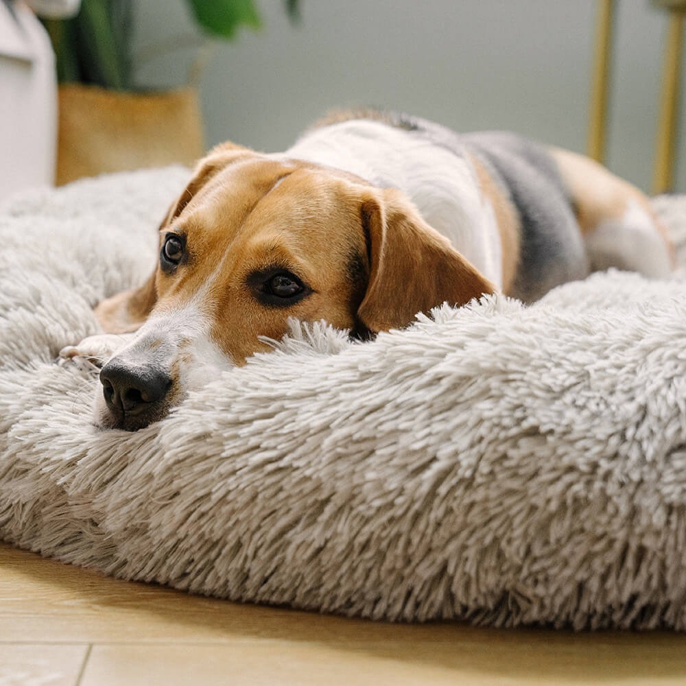 Ronde Fluffy Hondenmand