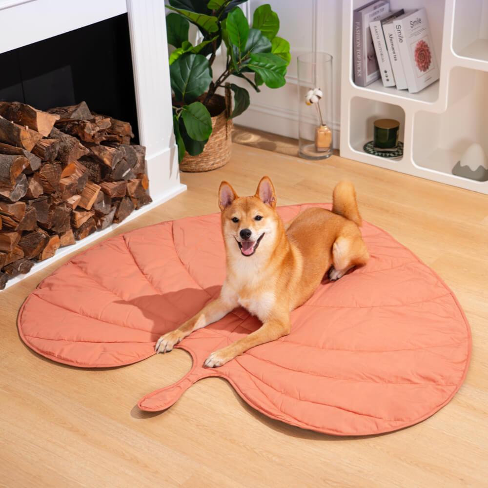 Bladvormige Hondendeken