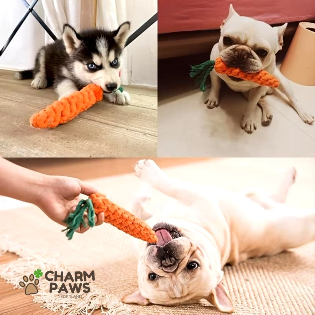 Honden Wortel Kauwstaaf