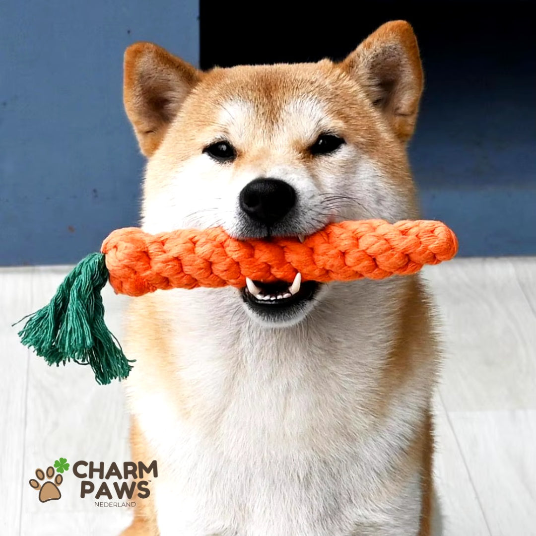 Honden Wortel Kauwstaaf