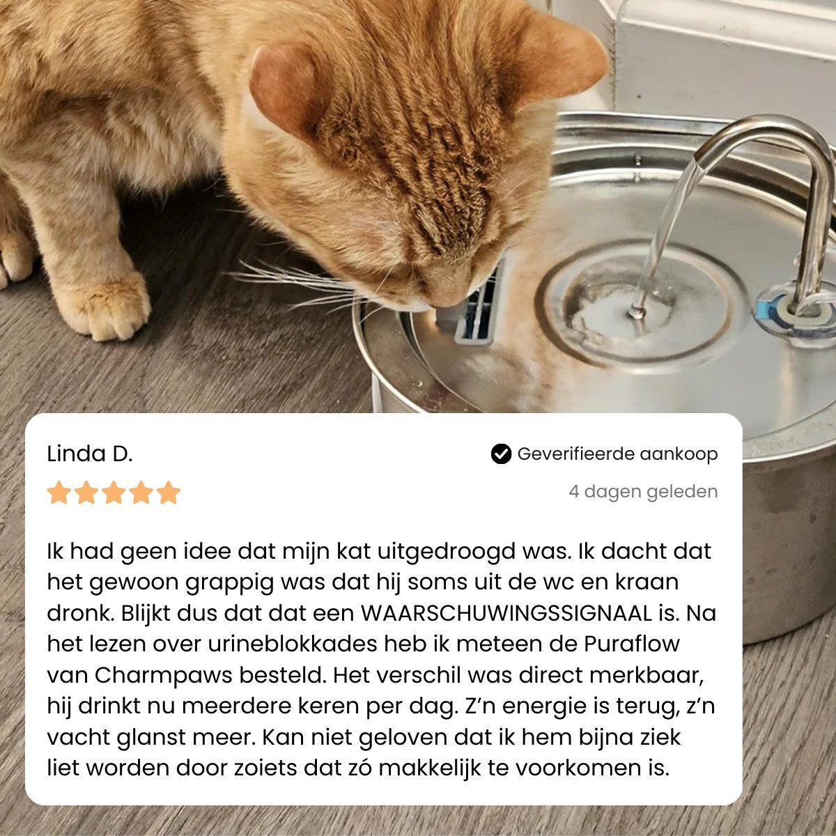 PuraFlow Pro - Premium RVS Drinkfontein voor Katten
