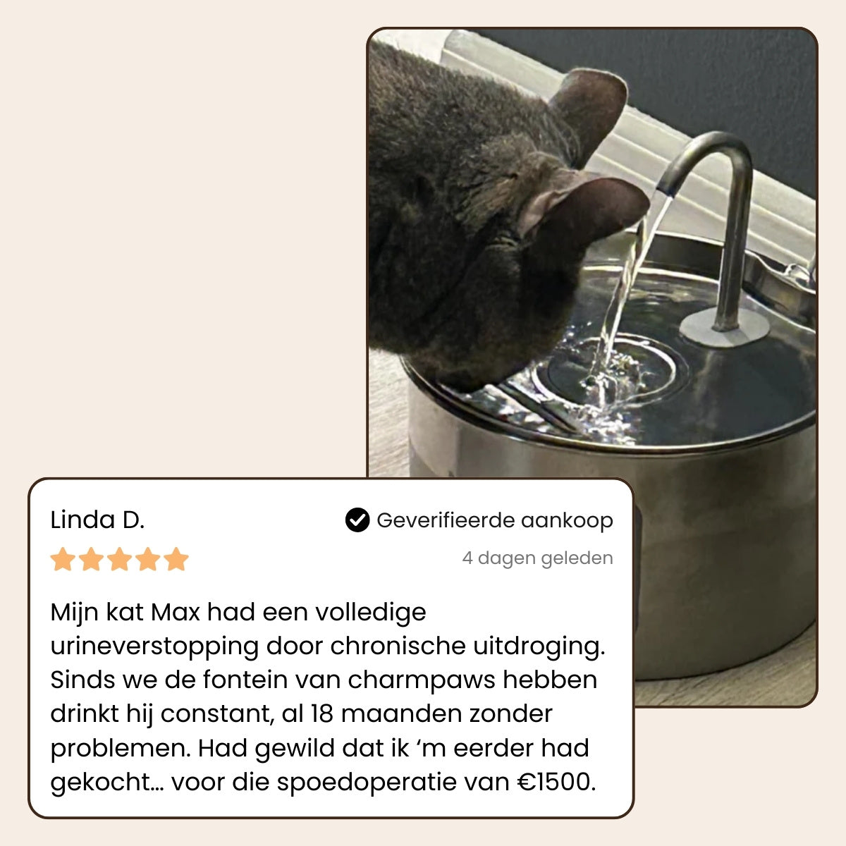 PuraFlow Pro - Premium RVS Drinkfontein voor Katten
