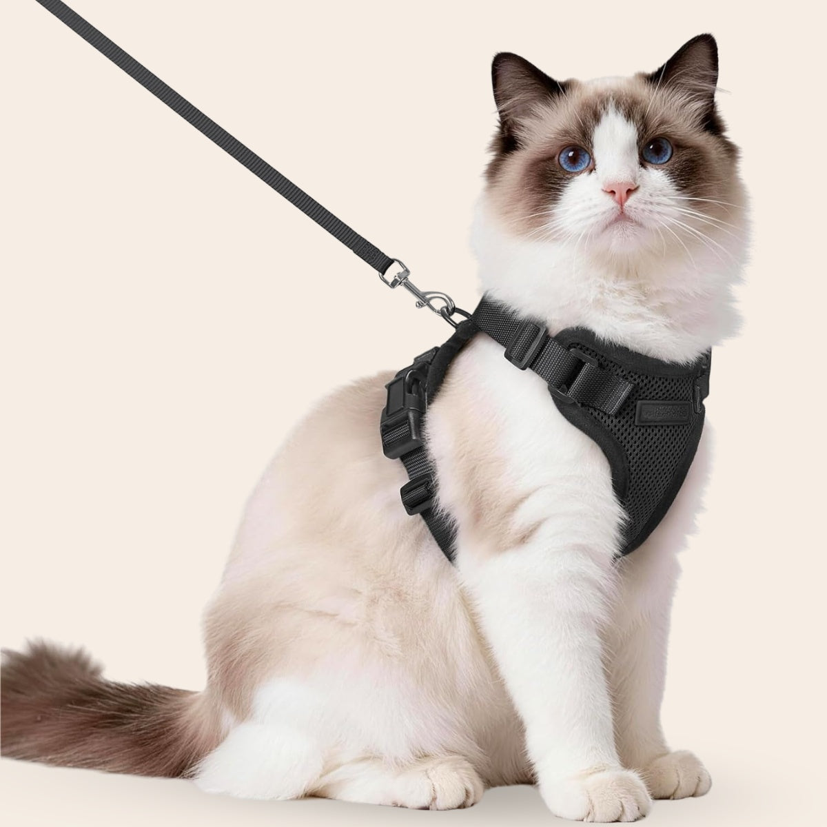 Explorer Air - Ademend en Verstelbaar Kattenharnas met Looplijn