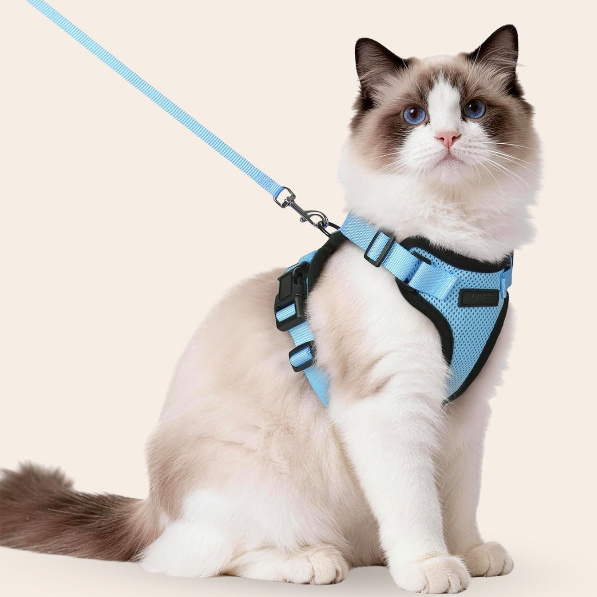 Explorer Air - Ademend en Verstelbaar Kattenharnas met Looplijn