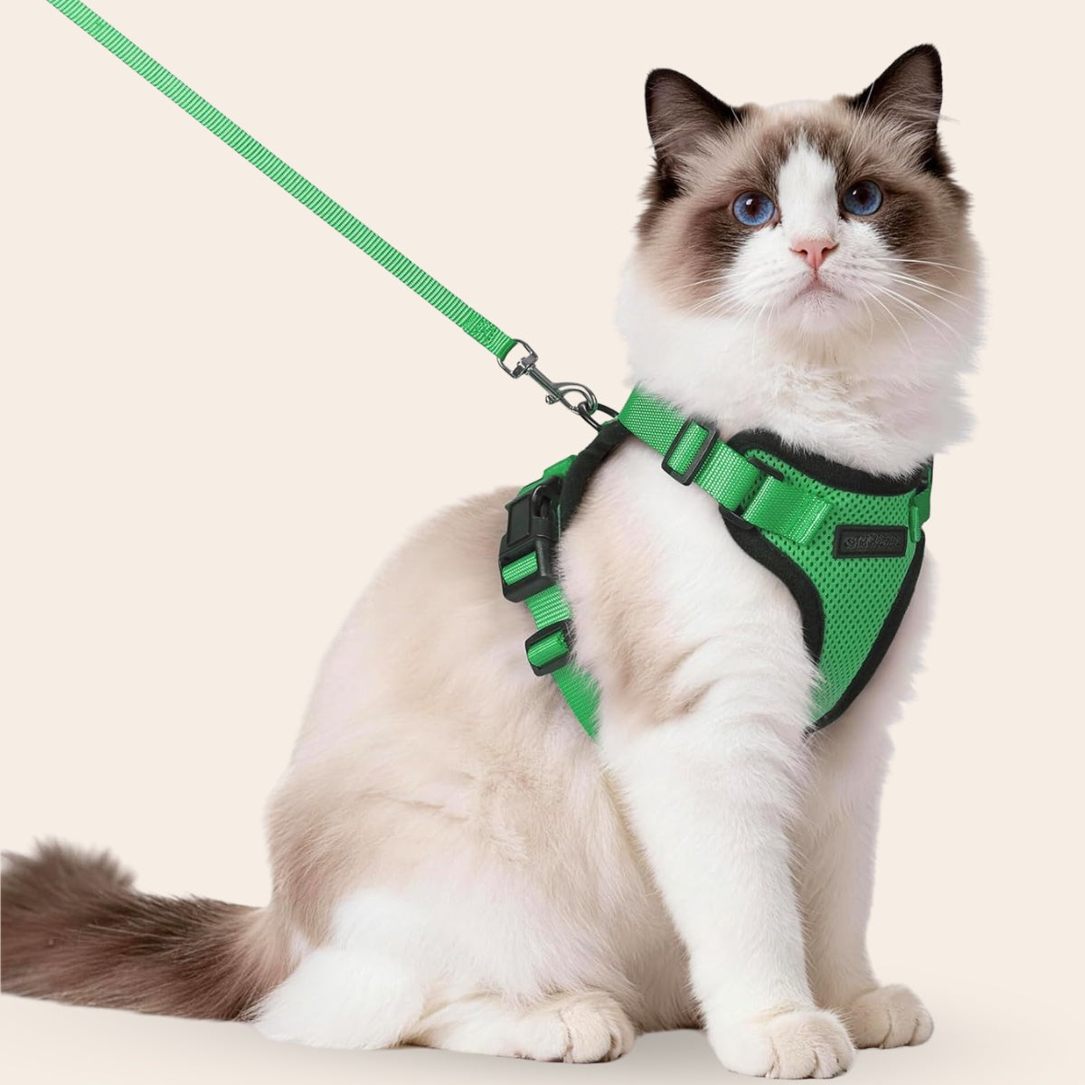 Explorer Air - Ademend en Verstelbaar Kattenharnas met Looplijn
