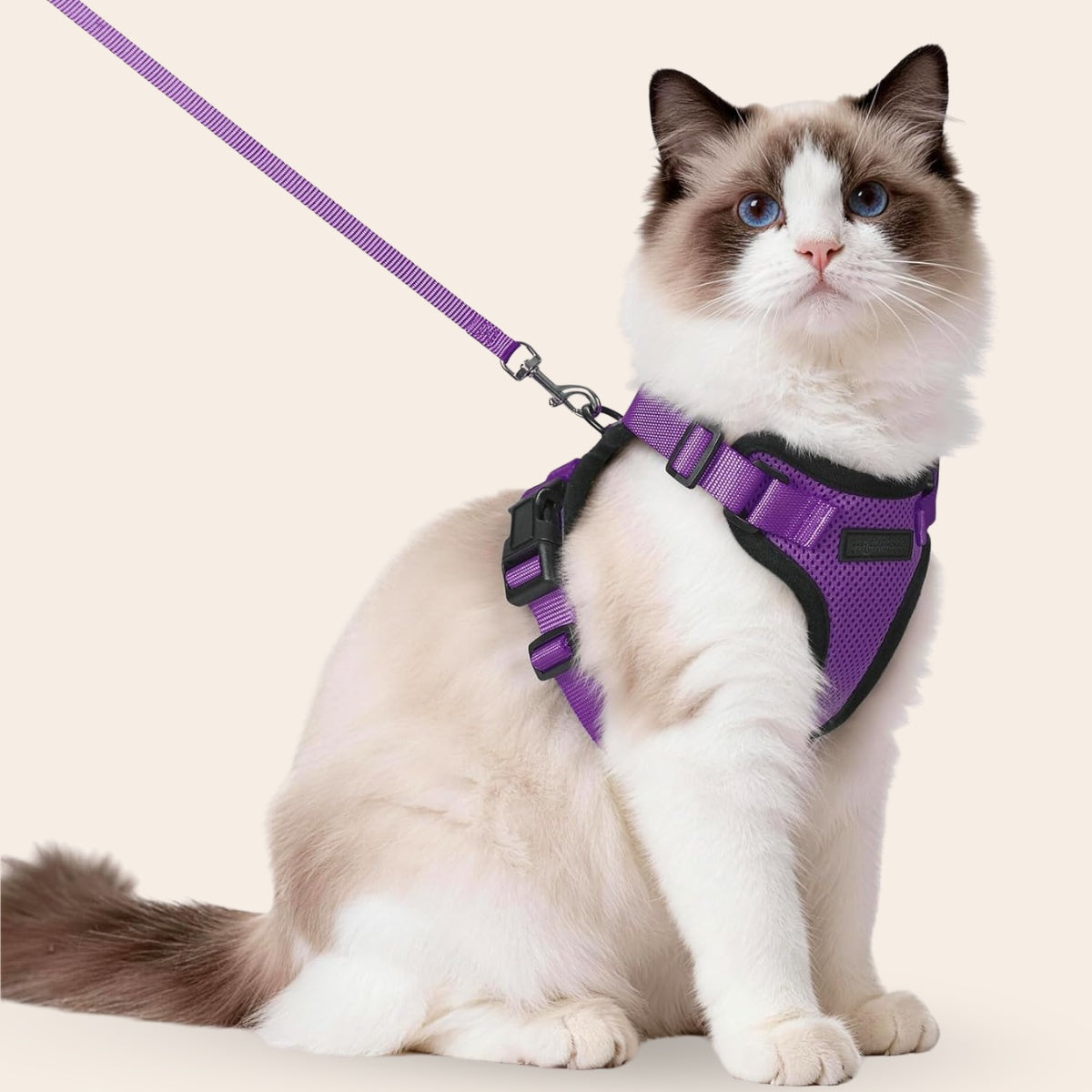 Explorer Air - Ademend en Verstelbaar Kattenharnas met Looplijn